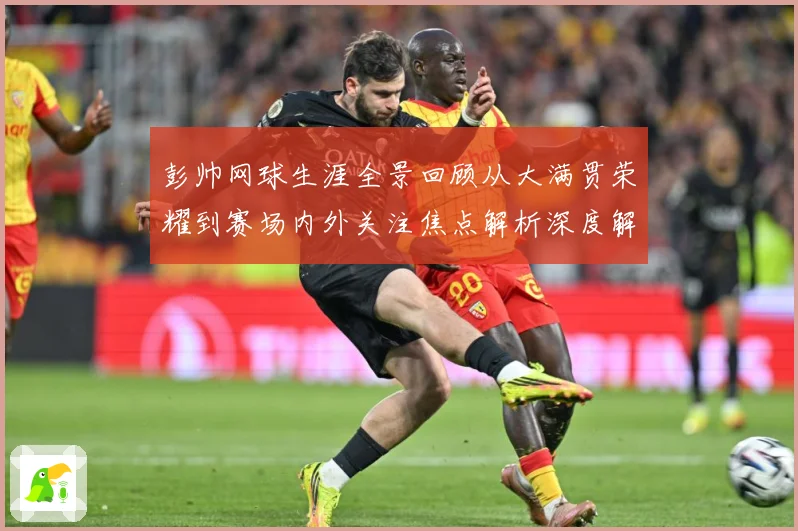 彭帅网球生涯全景回顾从大满贯荣耀到赛场内外关注焦点解析深度解读