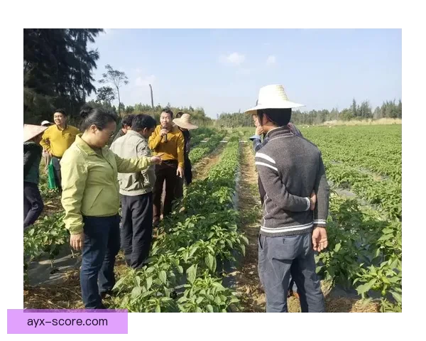 精准分析与实战经验助力体育竞猜稳稳赚，专家推荐引领投资方向